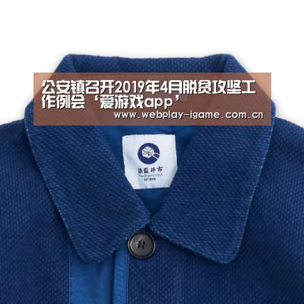 公安镇召开2019年4月脱贫攻坚工作例会‘爱游戏app’(图2) 爱游戏官网