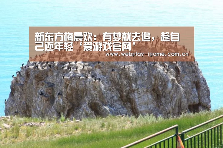 爱游戏官网